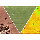 DJI Mavic Pro - NDVI