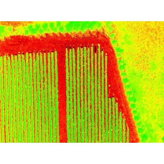 DJI Phantom 4 Pro V2.0 - NDVI / NDRE